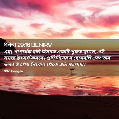 Picture 02 - গননা 29:16 BENIRV - এবং পাপার্থক বলি - Bible Verse Picture