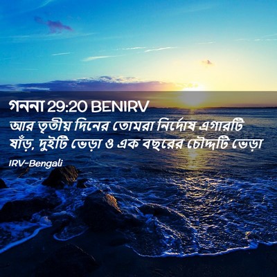 Picture 02 - গননা 29:20 BENIRV - আর তৃতীয় দিনের - Bible Verse Picture