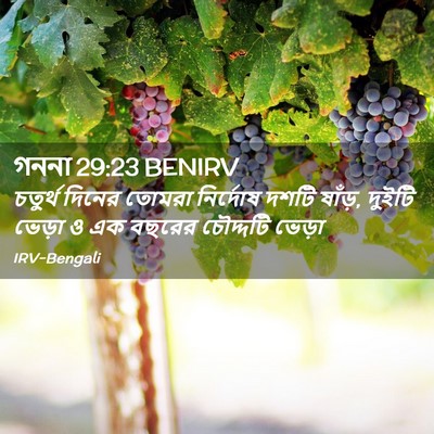 Picture 02 - গননা 29:23 BENIRV - চতুর্থ দিনের - Bible Verse Picture