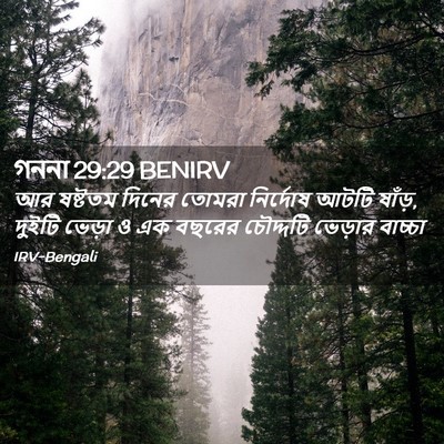 Picture 02 - গননা 29:29 BENIRV - আর ষষ্টতম দিনের - Bible Verse Picture
