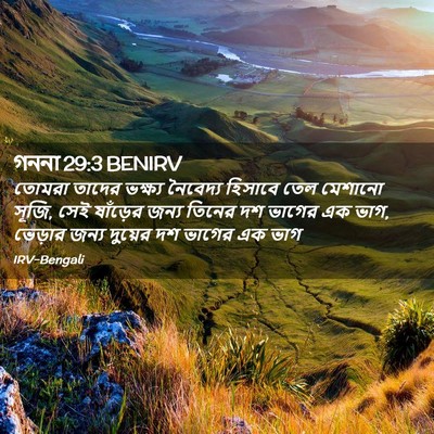 Picture 02 - গননা 29:3 BENIRV - তোমরা তাদের - Bible Verse Picture