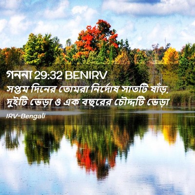 Picture 02 - গননা 29:32 BENIRV - সপ্তম দিনের তোমরা - Bible Verse Picture