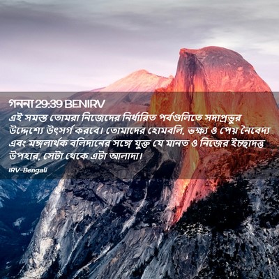 Picture 02 - গননা 29:39 BENIRV - এই সমস্ত তোমরা - Bible Verse Picture