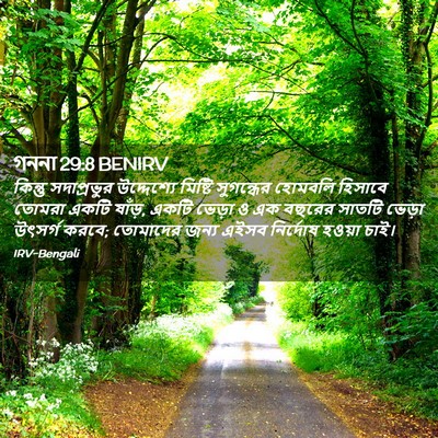 Picture 02 - গননা 29:8 BENIRV - কিন্তু সদাপ্রভুর - Bible Verse Picture