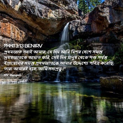 Picture 02 - গননা 3:13 BENIRV - প্রথমজাত সবাই - Bible Verse Picture