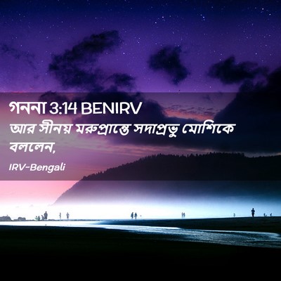 Picture 02 - গননা 3:14 BENIRV - আর সীনয় - Bible Verse Picture