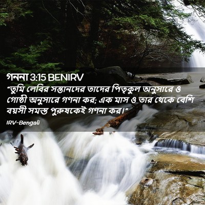 Picture 02 - গননা 3:15 BENIRV - “তুমি লেবির - Bible Verse Picture