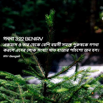 Picture 02 - গননা 3:22 BENIRV - একমাস ও তার থেকে - Bible Verse Picture