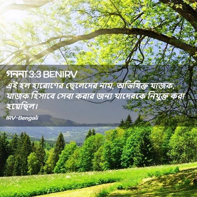 Picture 02 - গননা 3:3 BENIRV - এই হল হারোণের - Bible Verse Picture