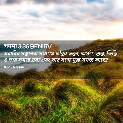 Picture 02 - গননা 3:36 BENIRV - মরারির সন্তানরা - Bible Verse Picture
