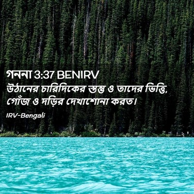 Picture 02 - গননা 3:37 BENIRV - উঠানের চারিদিকের - Bible Verse Picture