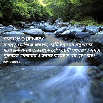 Picture 02 - গননা 3:40 BENIRV - সদাপ্রভু মোশিকে - Bible Verse Picture