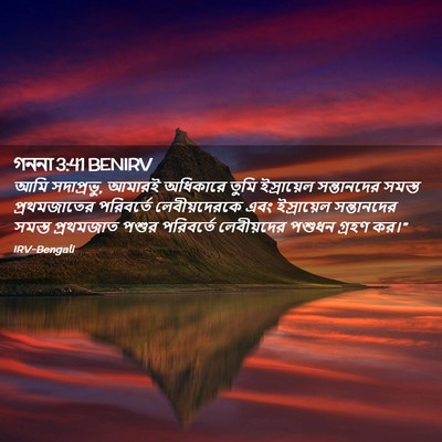 Picture 02 - গননা 3:41 BENIRV - আমি সদাপ্রভু, - Bible Verse Picture