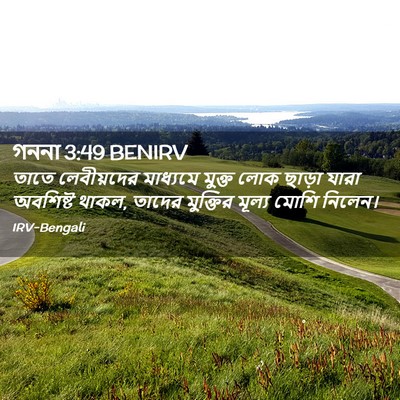 Picture 02 - গননা 3:49 BENIRV - তাতে লেবীয়দের - Bible Verse Picture