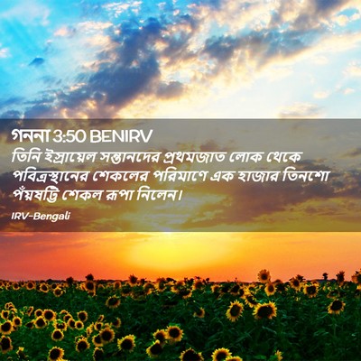 Picture 02 - গননা 3:50 BENIRV - তিনি ইস্রায়েল - Bible Verse Picture
