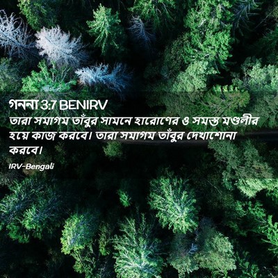 Picture 02 - গননা 3:7 BENIRV - তারা সমাগম তাঁবুর - Bible Verse Picture