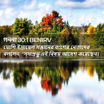 Picture 02 - গননা 30:1 BENIRV - মোশি ইস্রায়েল - Bible Verse Picture