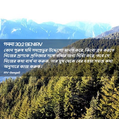 Picture 02 - গননা 30:2 BENIRV - কোন পুরুষ যদি - Bible Verse Picture