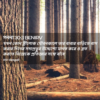 Picture 02 - গননা 30:3 BENIRV - যখন কোন স্ত্রীলোক - Bible Verse Picture