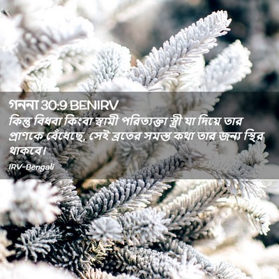 Picture 02 - গননা 30:9 BENIRV - কিন্তু বিধবা - Bible Verse Picture
