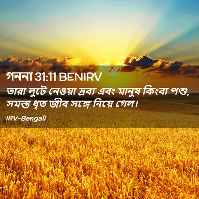 Picture 02 - গননা 31:11 BENIRV - তারা লুটে নেওয়া - Bible Verse Picture
