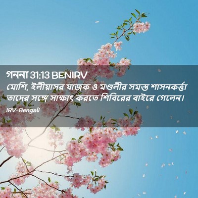 Picture 02 - গননা 31:13 BENIRV - মোশি, ইলীয়াসর - Bible Verse Picture