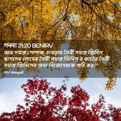 Picture 02 - গননা 31:20 BENIRV - আর সমস্ত পোশাক, - Bible Verse Picture