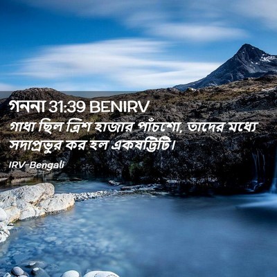Picture 02 - গননা 31:39 BENIRV - গাধা ছিল ত্রিশ - Bible Verse Picture