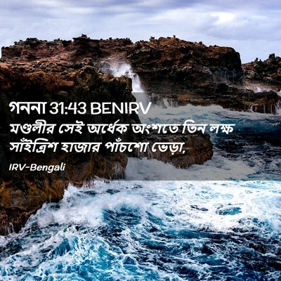 Picture 02 - গননা 31:43 BENIRV - মণ্ডলীর সেই - Bible Verse Picture