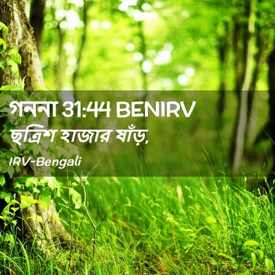 Picture 02 - গননা 31:44 BENIRV - ছত্রিশ হাজার - Bible Verse Picture