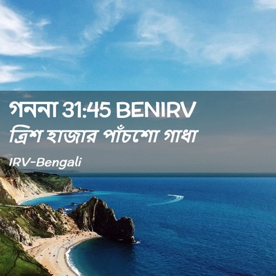 Picture 02 - গননা 31:45 BENIRV - ত্রিশ হাজার - Bible Verse Picture