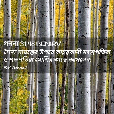 Picture 02 - গননা 31:48 BENIRV - সৈন্য সামন্তের - Bible Verse Picture