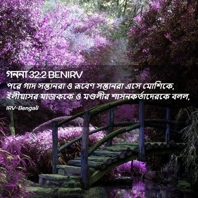 Picture 02 - গননা 32:2 BENIRV - পরে গাদ সন্তানরা ও - Bible Verse Picture