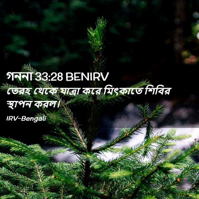 Picture 02 - গননা 33:28 BENIRV - তেরহ থেকে যাত্রা - Bible Verse Picture