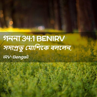 Picture 02 - গননা 34:1 BENIRV - সদাপ্রভু মোশিকে - Bible Verse Picture