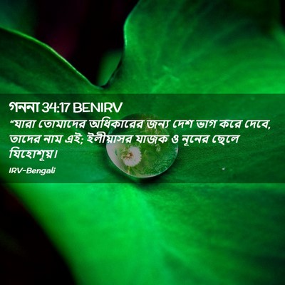 Picture 02 - গননা 34:17 BENIRV - “যারা তোমাদের - Bible Verse Picture