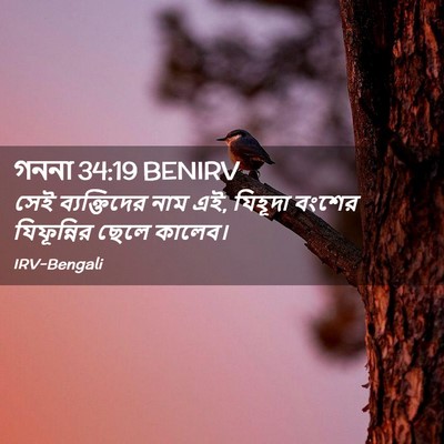 Picture 02 - গননা 34:19 BENIRV - সেই ব্যক্তিদের - Bible Verse Picture