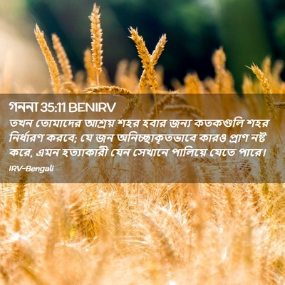 Picture 02 - গননা 35:11 BENIRV - তখন তোমাদের - Bible Verse Picture