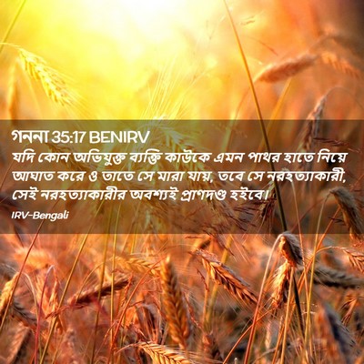 Picture 02 - গননা 35:17 BENIRV - যদি কোন অভিযুক্ত - Bible Verse Picture