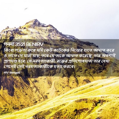 Picture 02 - গননা 35:21 BENIRV - কিংবা শত্রুতা করে - Bible Verse Picture