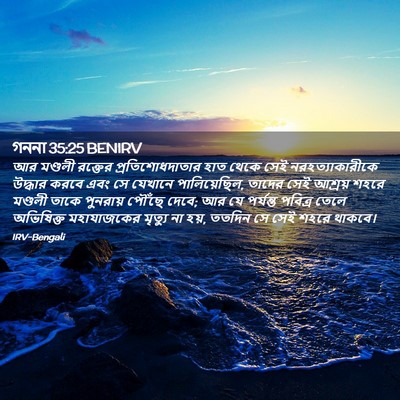 Picture 02 - গননা 35:25 BENIRV - আর মণ্ডলী রক্তের - Bible Verse Picture
