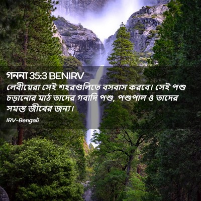 Picture 02 - গননা 35:3 BENIRV - লেবীয়েরা সেই - Bible Verse Picture