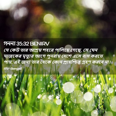 Picture 02 - গননা 35:32 BENIRV - যে কেউ তার আশ্রয় - Bible Verse Picture