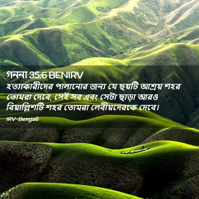 Picture 02 - গননা 35:6 BENIRV - হত্যাকারীদের - Bible Verse Picture