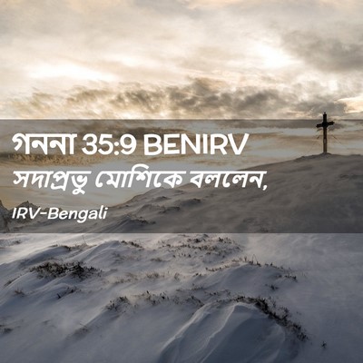 Picture 02 - গননা 35:9 BENIRV - সদাপ্রভু মোশিকে - Bible Verse Picture