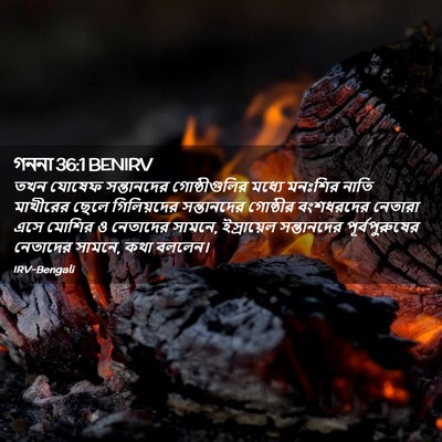 Picture 02 - গননা 36:1 BENIRV - তখন যোষেফ - Bible Verse Picture