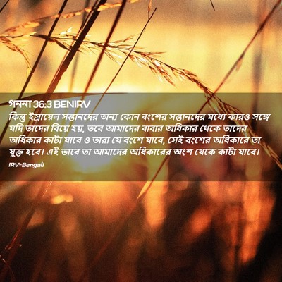 Picture 02 - গননা 36:3 BENIRV - কিন্তু ইস্রায়েল - Bible Verse Picture