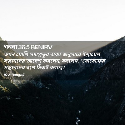 Picture 02 - গননা 36:5 BENIRV - তখন মোশি - Bible Verse Picture