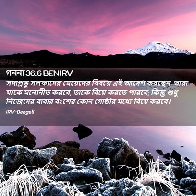 Picture 02 - গননা 36:6 BENIRV - সদাপ্রভু সলফাদের - Bible Verse Picture