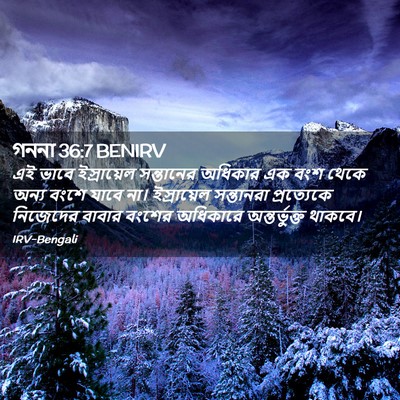 Picture 02 - গননা 36:7 BENIRV - এই ভাবে ইস্রায়েল - Bible Verse Picture